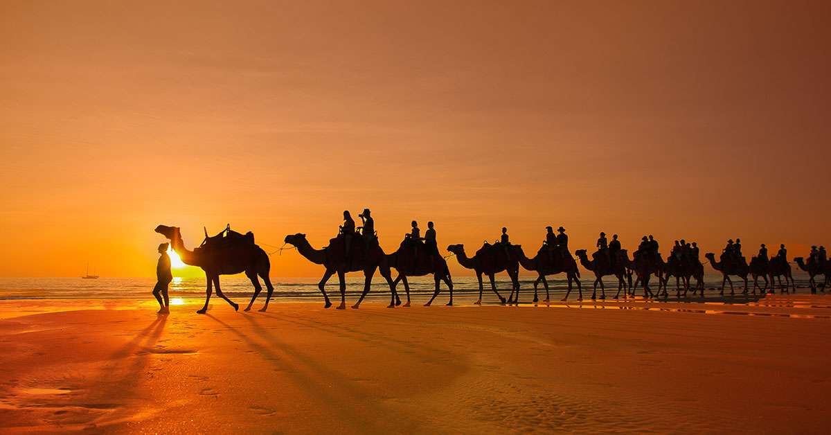 Camels at Sunset on Cable Beach, Broome