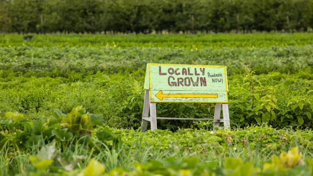 A hand-painted Locally Grown roadside sign at the edge of a market garden.